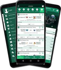 Ultimate Guide to BetWinner APK